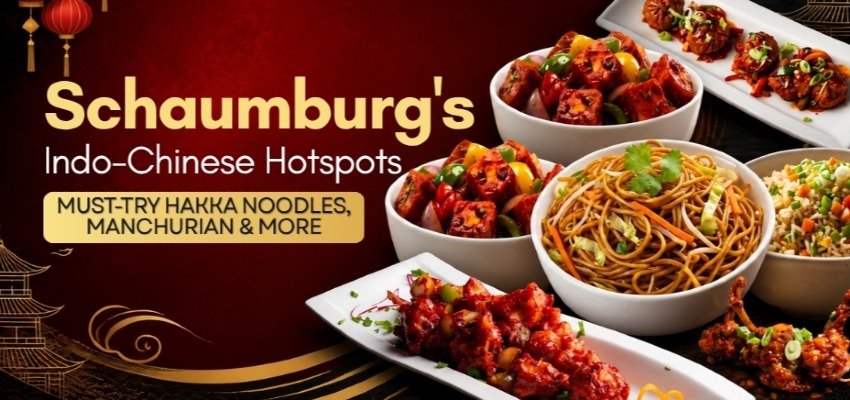 Indo-Chinese Food in Schaumburg