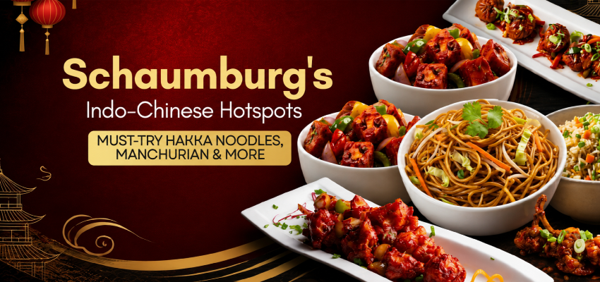 Indo-Chinese Food in Schaumburg